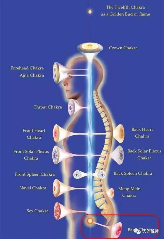 第一脉轮：海底轮，你的能量之门必须敞开
