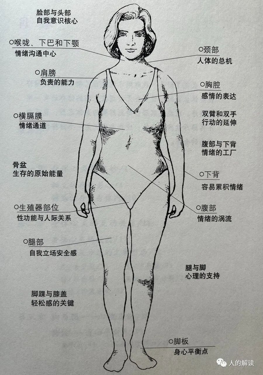 你的所有情绪，在身体上都有记忆