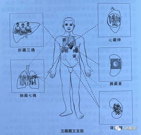 神奇的五脏，不可不知的三个层面