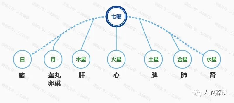 六腑之外的奥秘:奇恒之腑和三魂七魄 六腑之外的奥秘:奇恒之腑和三魂七魄-人的解读