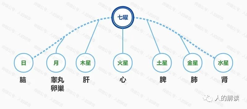 六腑之外的奥秘：奇恒之腑和三魂七魄