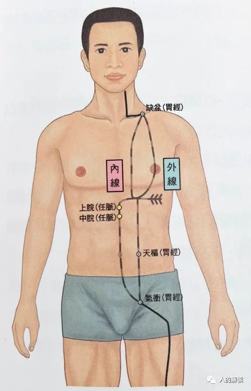 第三条经络：胃经，你的食欲和性欲都取决于它