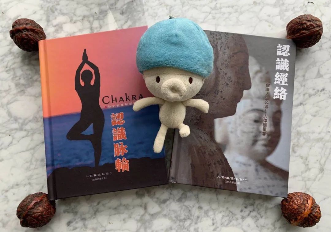 人生必修课系列:《认识灵魂》《认识经络》《认识脉轮》,值得拥有! 人生必修课系列:《认识灵魂》《认识经络》《认识脉轮》,值得拥有!-人的解读