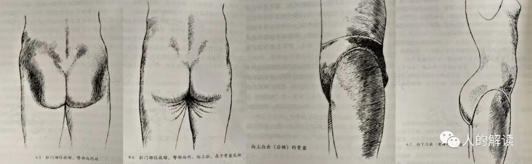 五种性格结构在身体、灵魂、脉轮、气场层的解读