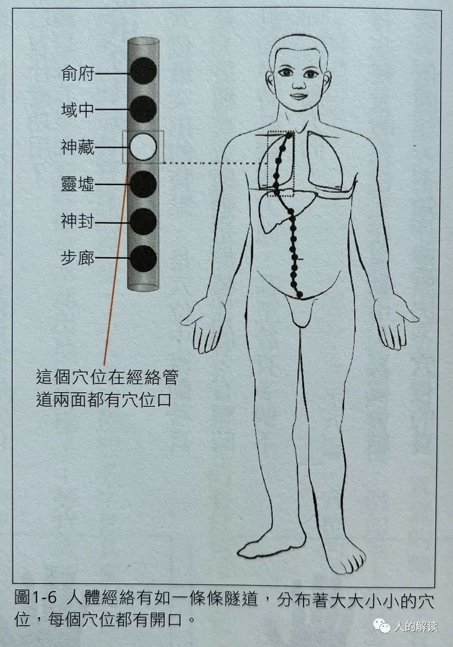 超视觉下的经络，结构竟然如此奇妙