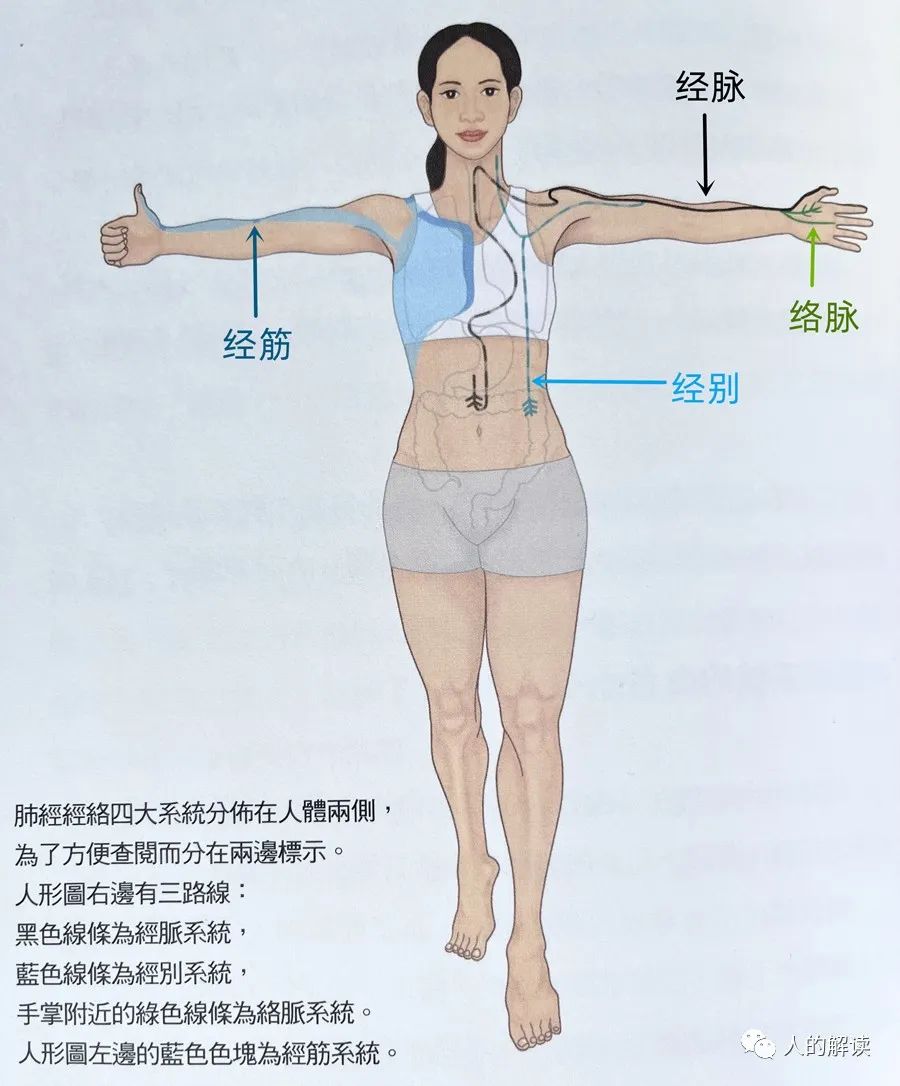 经络的四大系统，把你肉身的一切都连接起来