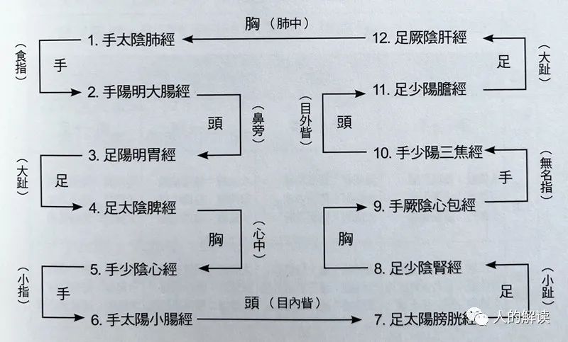 第二条经络：大肠经，被星宿眷顾的能量通路