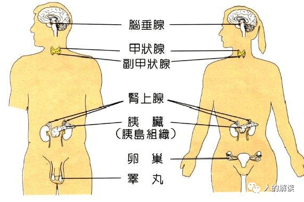 排毒的真相，疾病通常源于吃得不对