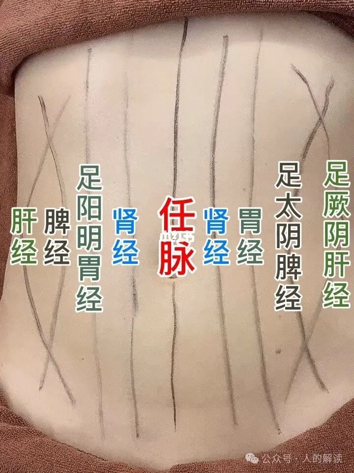 腹部的奥秘，情绪和力量储存在这里