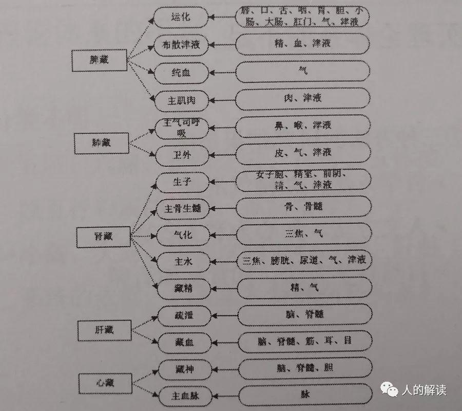 第九届生命物理学论坛归来，谈谈我的收获