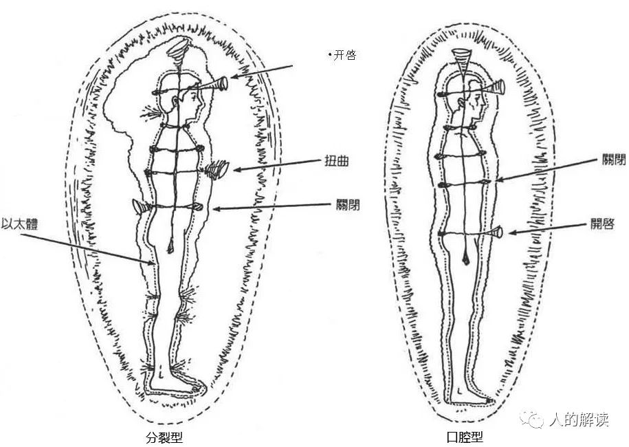 口腔型的人在气场、脉轮、灵魂层的解读