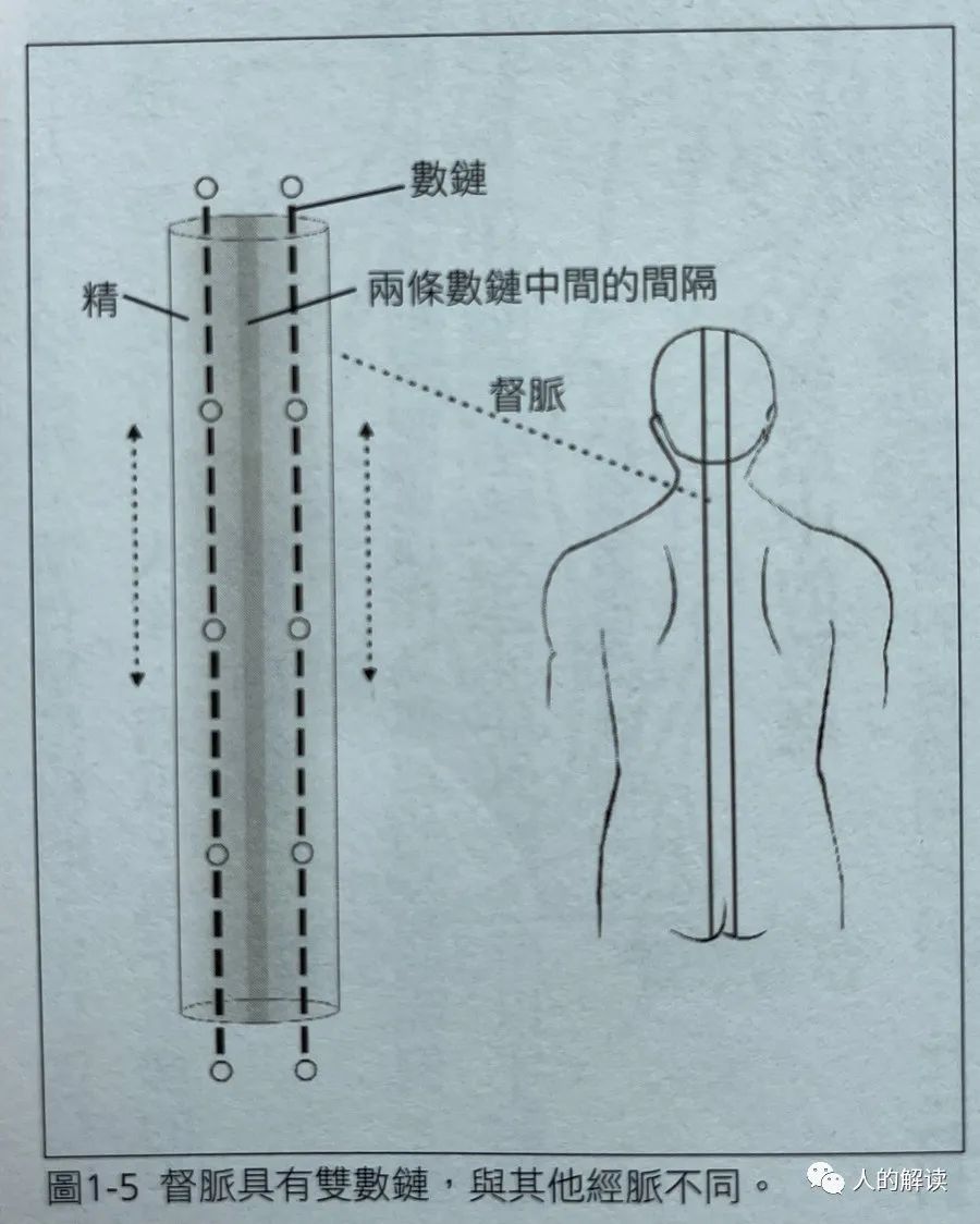 超视觉下的经络，结构竟然如此奇妙