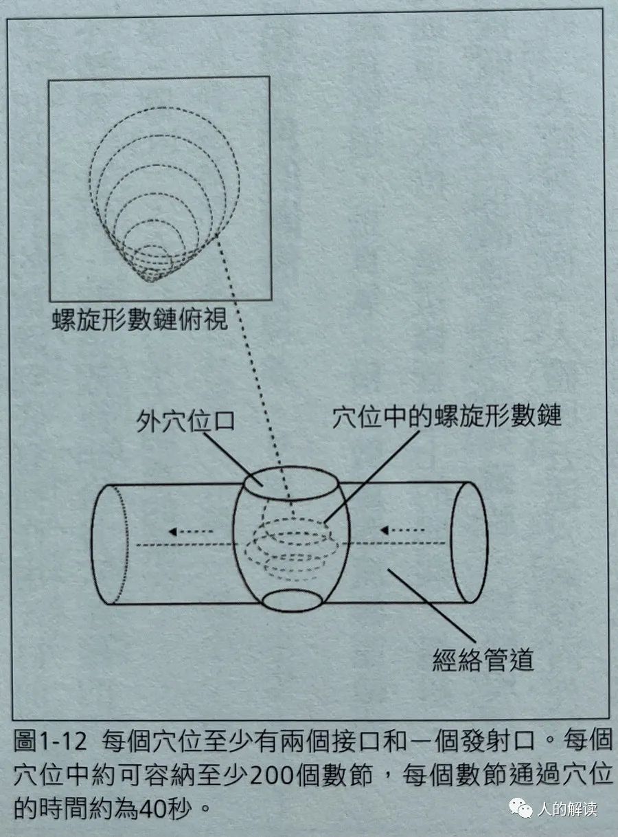 超视觉下的经络，结构竟然如此奇妙