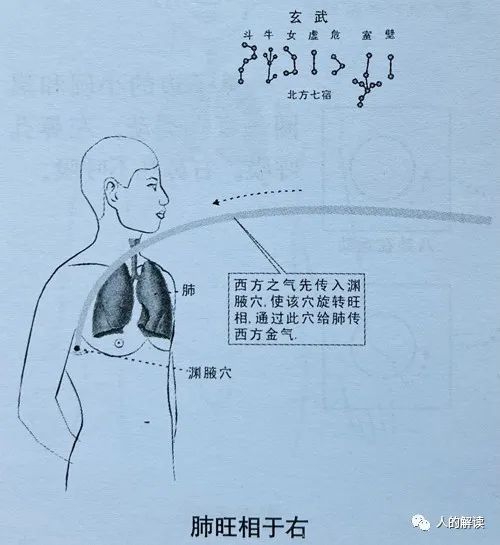 第一条经络：肺经，你的能量通路起点必须畅通