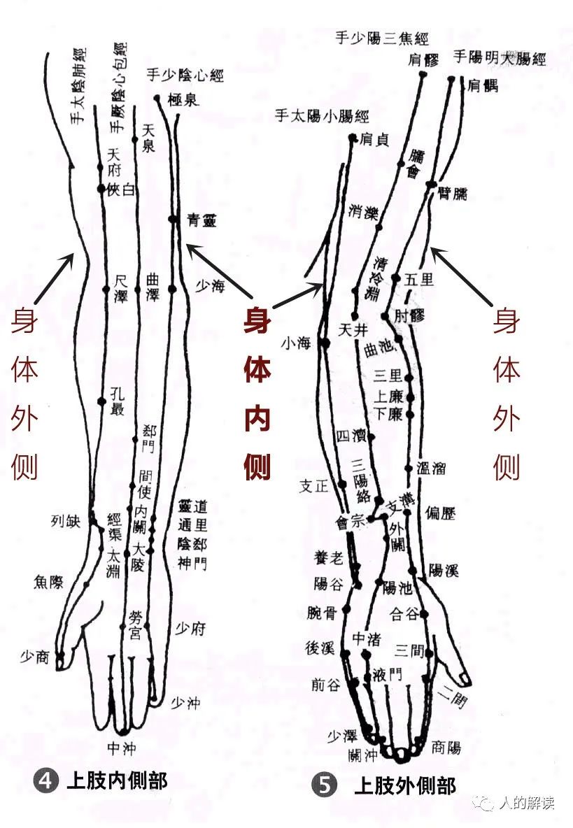 第二条经络：大肠经，被星宿眷顾的能量通路