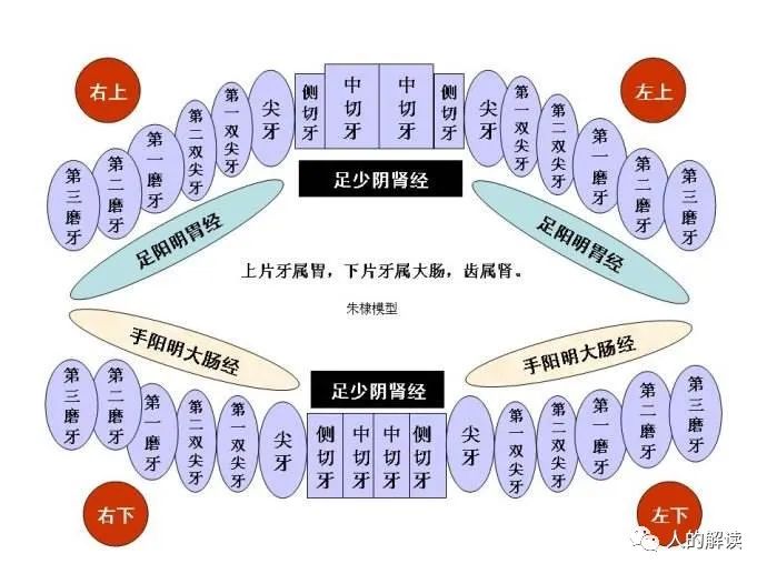 第二条经络：大肠经，被星宿眷顾的能量通路