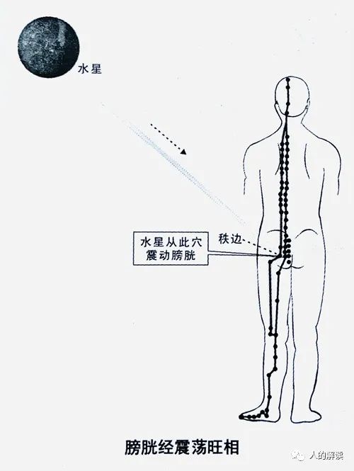 顶天立地的膀胱经，最强壮的保护盾