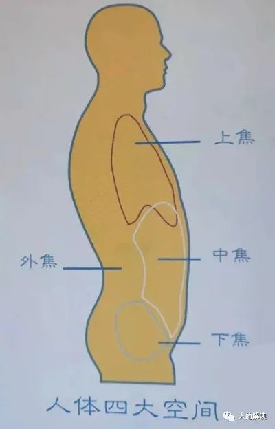 顶天立地的膀胱经，最强壮的保护盾