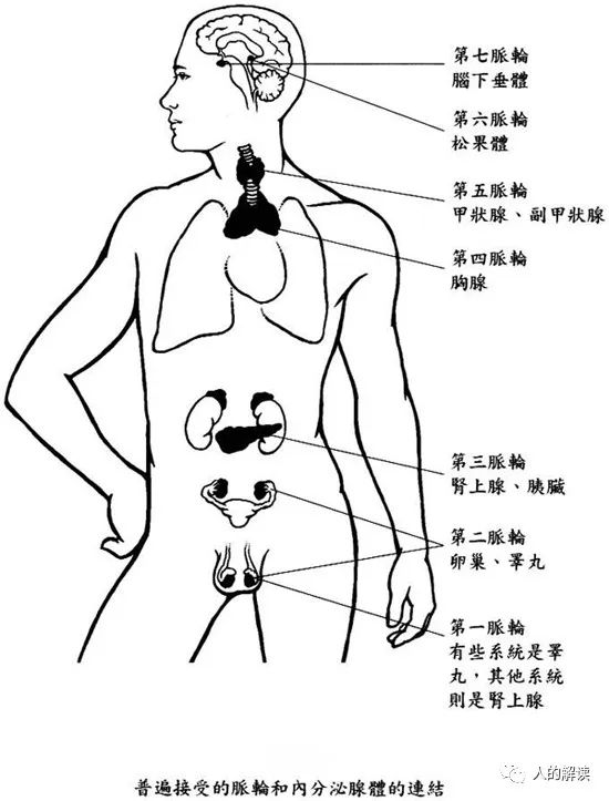 神奇的甲状腺，奥秘远超想象