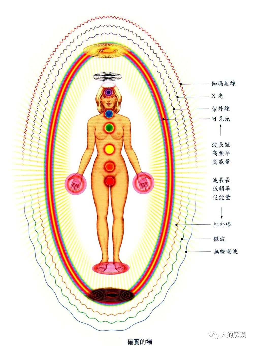 人体辐射与TTM，你必须知道的第一个人体能量场