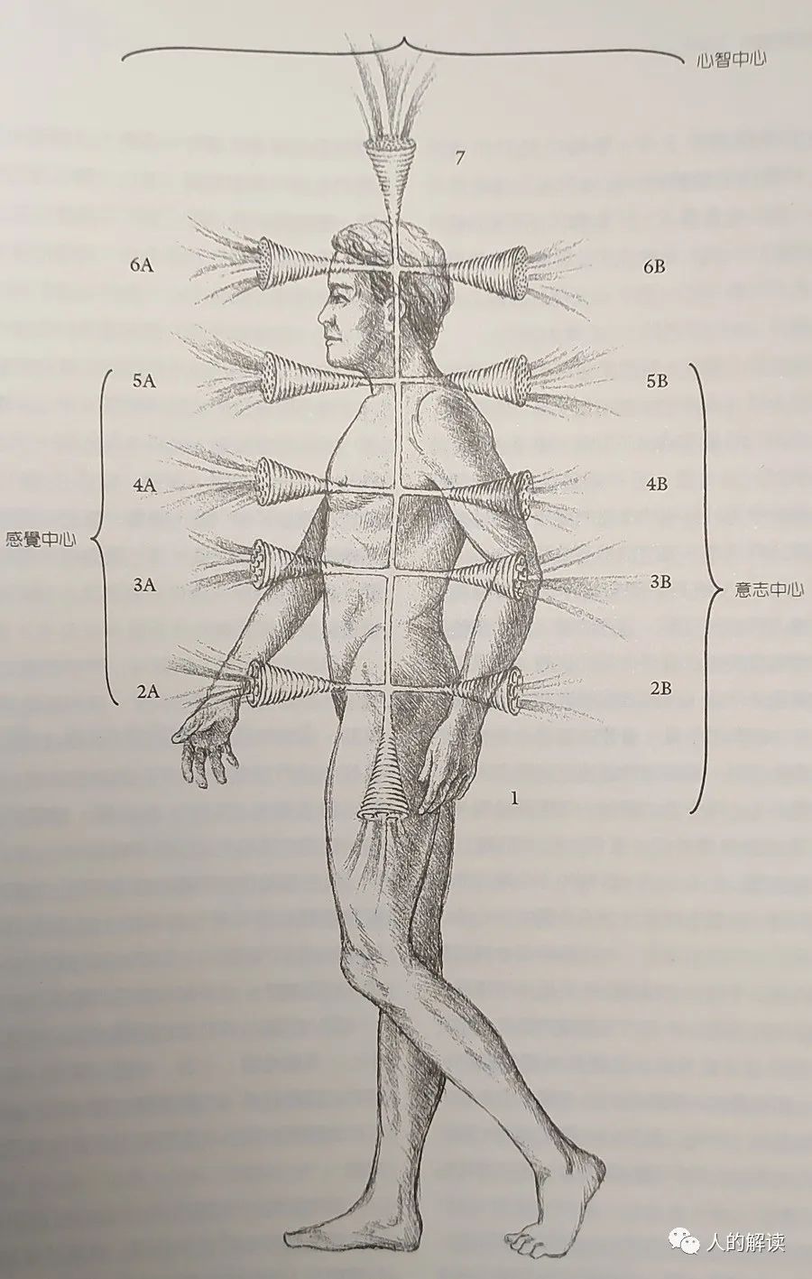 人体的七层能量场，不可不知