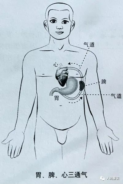 神奇的胃经，它的强大远超你的想象