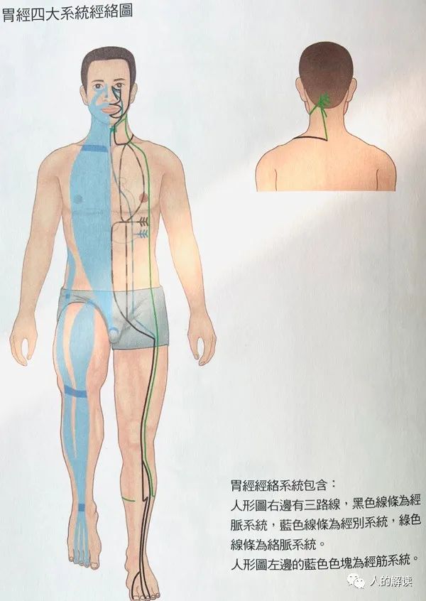 胃经保健的几种方式，你的后天之本要养护好