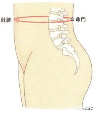 脾经的神奇，超乎你的想象