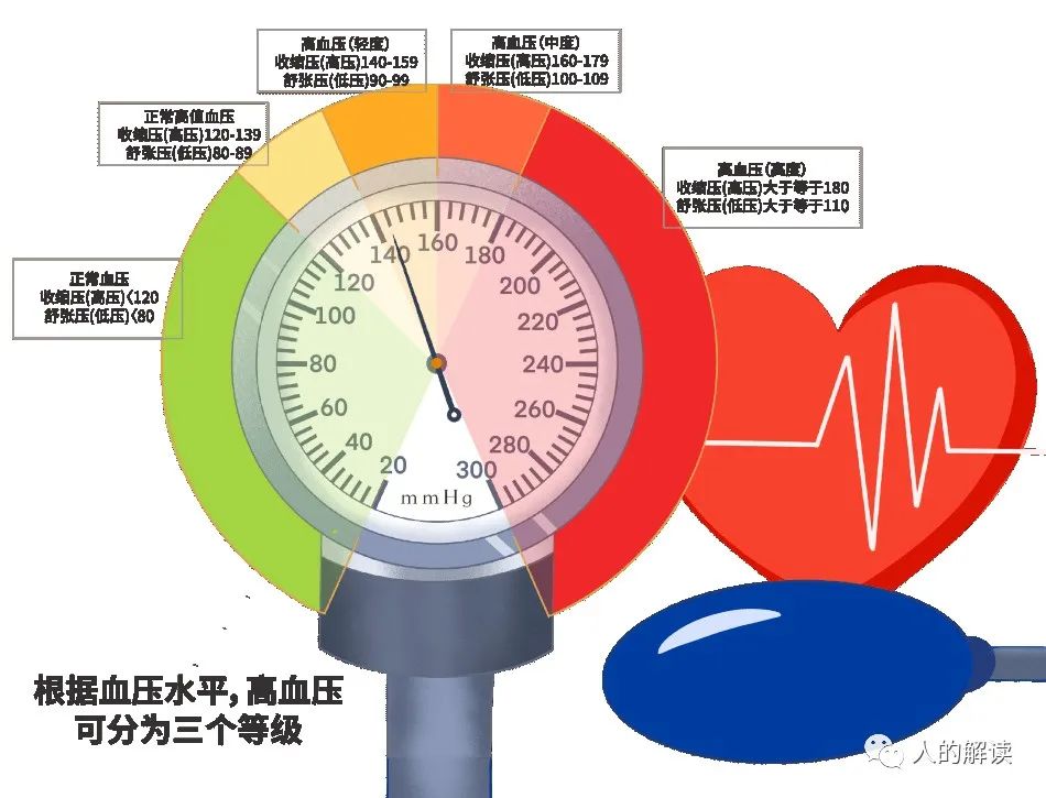 高血压的真相，其实是这样的