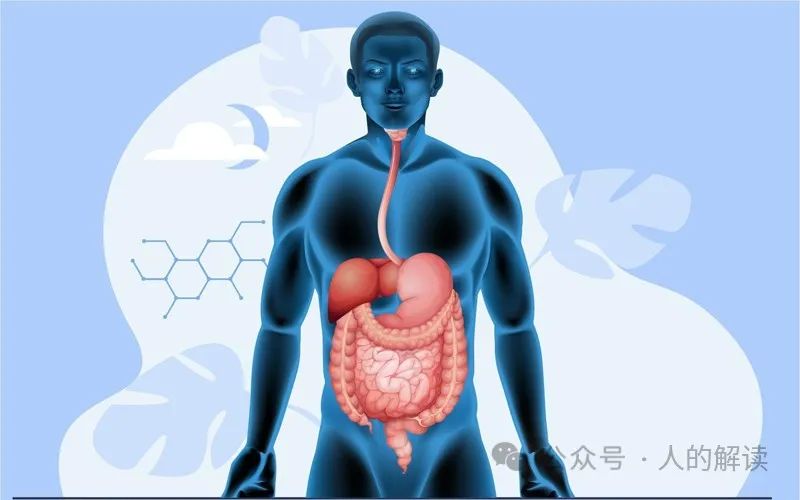 健康的四大原则,所有疗法都基于此 健康的四大原则,所有疗法都基于此-人的解读
