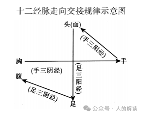 打通任督二脉，小周天的奥秘