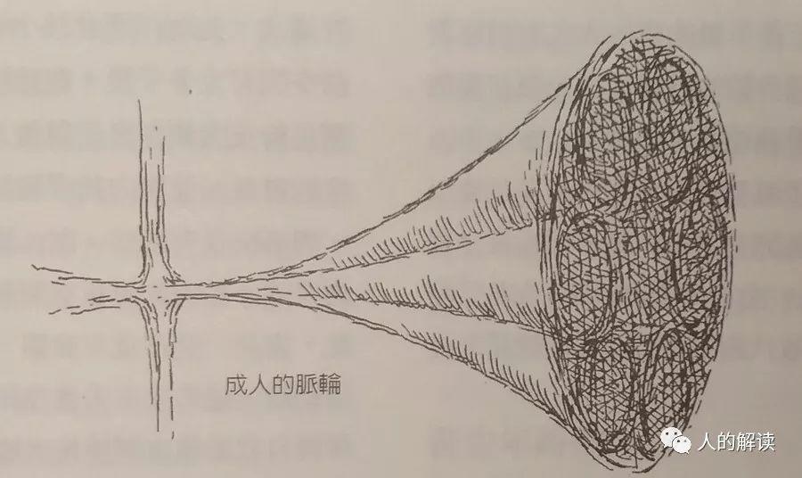 脉轮和穴位大不相同，究竟意味着什么？