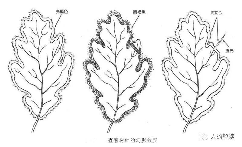 从宇宙能量场到精微能量、挠场，脉轮连通了超自然世界