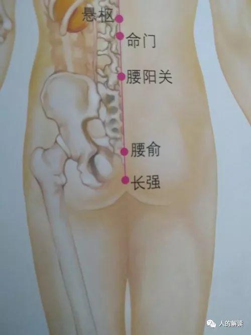 第二脉轮：生殖轮，性能量的转换你必须要学会