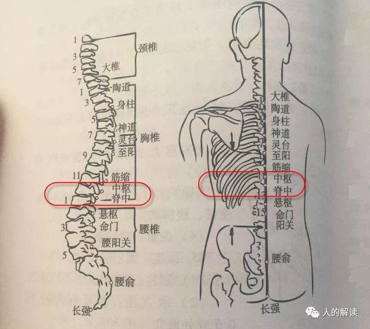 第三脉轮：太阳轮，你的力量中心必须开启