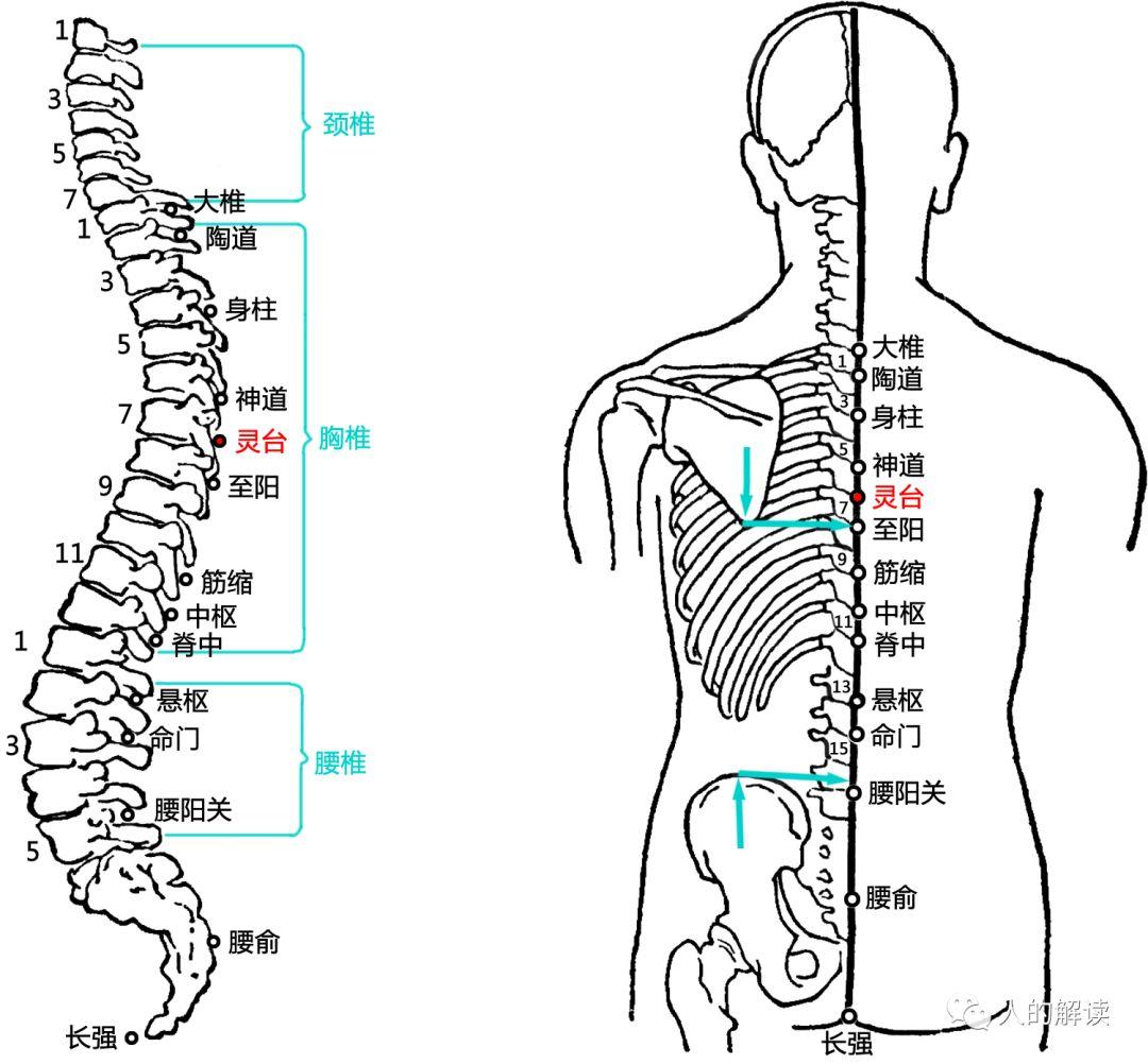 第四脉轮：心轮，爱的中心怎能不开启？