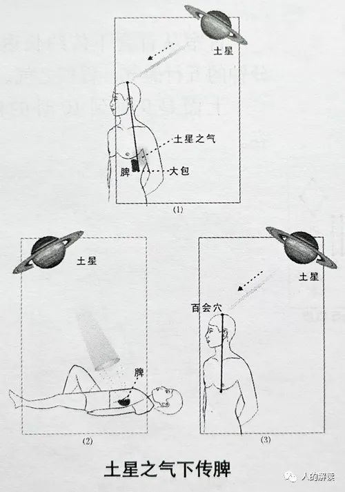 第四条经络：脾经，升清降浊的能量大道