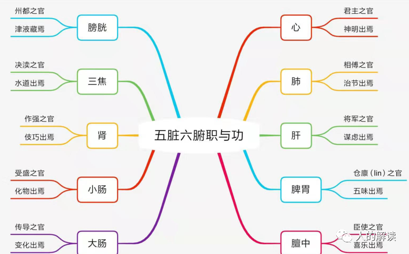 小肠经，肩负重任的回春路线