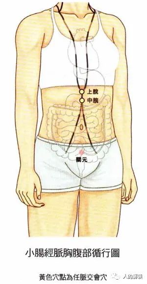 用小肠经护乳房、松肩背、面回春