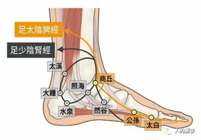 神奇的肾经，连通任督二脉