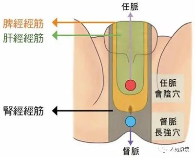 神奇的肾经，连通任督二脉