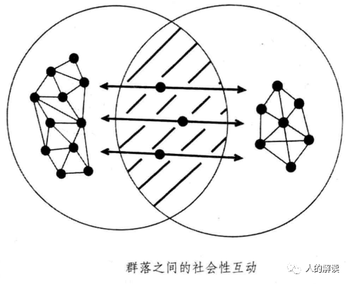 灵魂群落，你最亲的关系都在这里