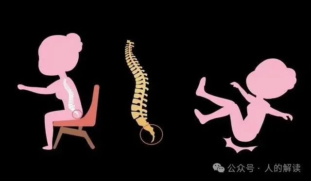 臀部的奥秘,爱存储在这里 臀部的奥秘,爱存储在这里-人的解读
