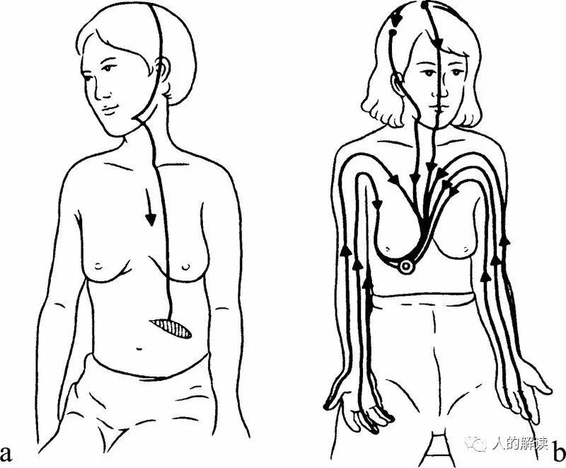 经络的奥秘都在这里，人体能量学小结