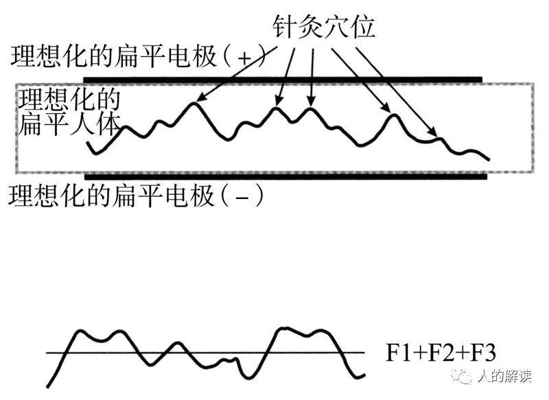 经络的奥秘都在这里，人体能量学小结