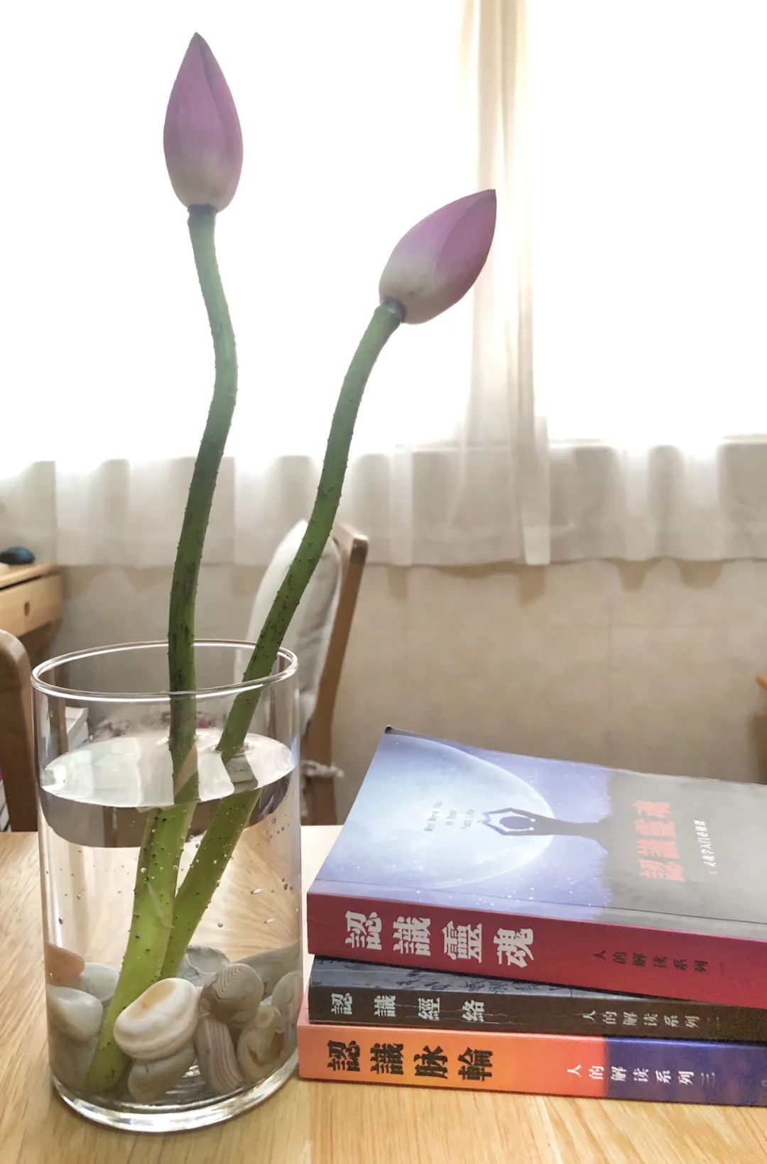 人生必修课系列:《认识灵魂》《认识经络》《认识脉轮》,值得拥有! 人生必修课系列:《认识灵魂》《认识经络》《认识脉轮》,值得拥有!-人的解读
