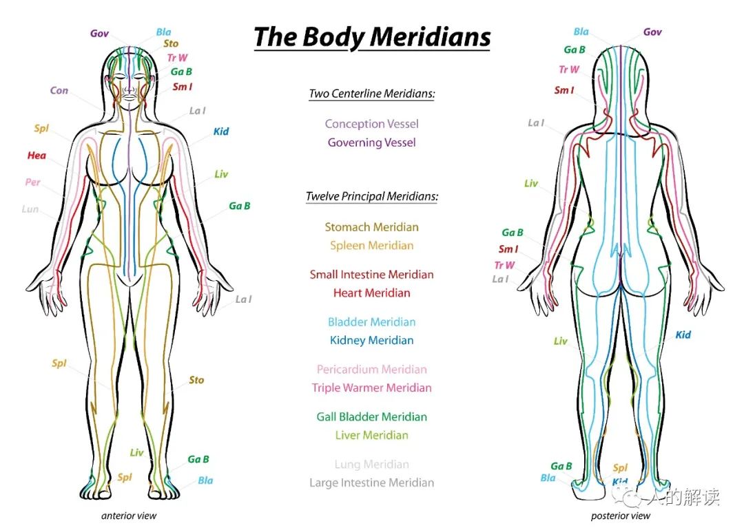 人人都要懂经络，可经络到底是什么
