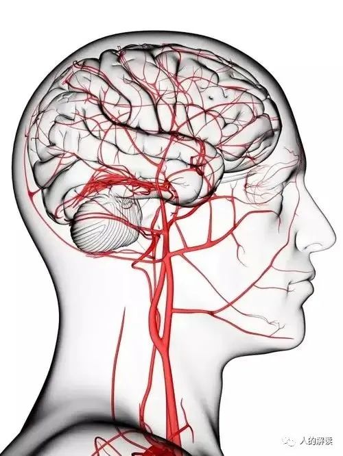 六腑之外的奥秘:奇恒之腑和三魂七魄 六腑之外的奥秘:奇恒之腑和三魂七魄-人的解读