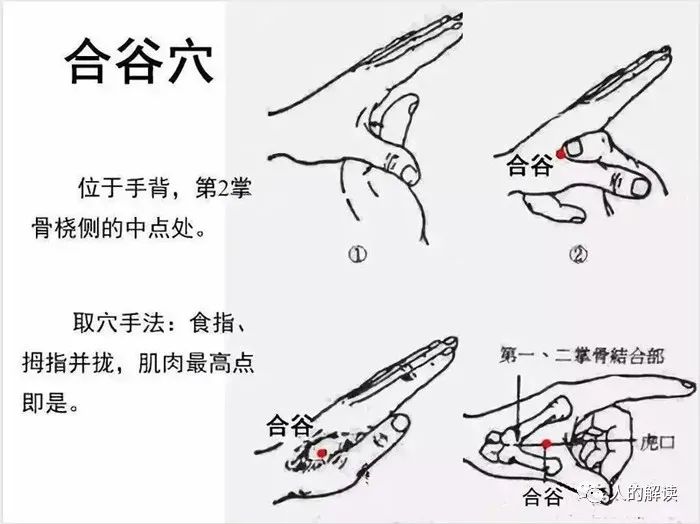 大肠经的保健与你的难言之隐