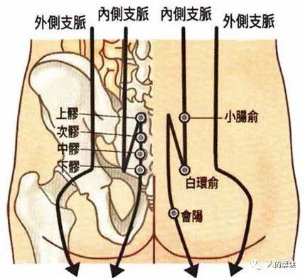 臀部的奥秘，爱存储在这里